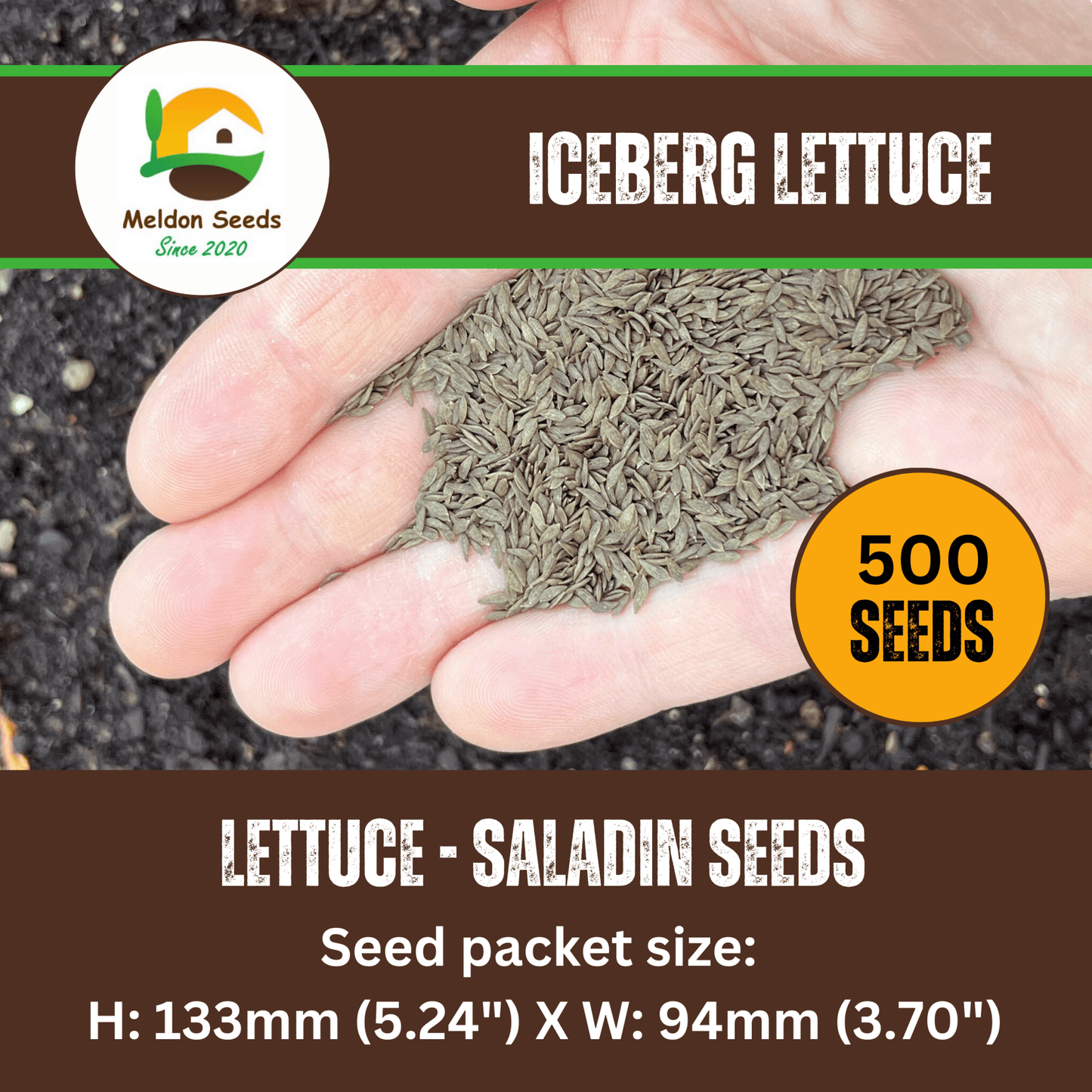 Lettuce Saladin (iceberg) 500 Seeds - Chartley Chucks