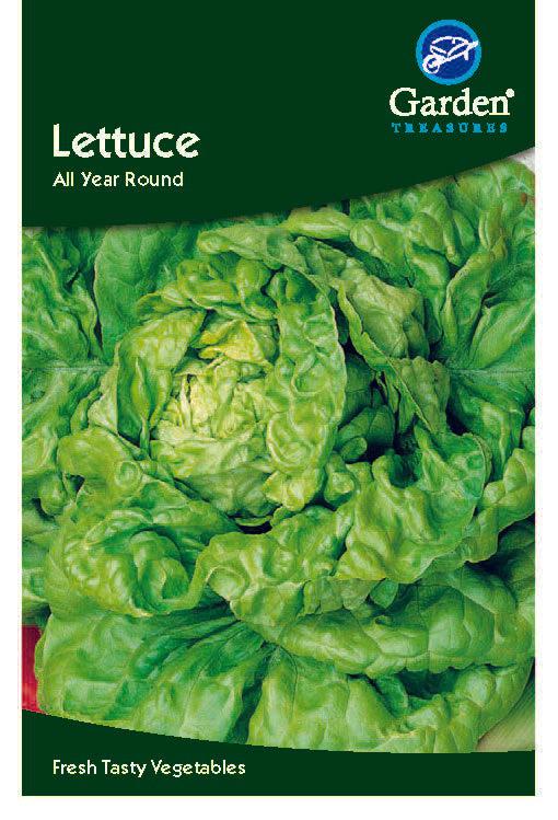 Lettuce Seeds - All year round - Chartley Chucks
