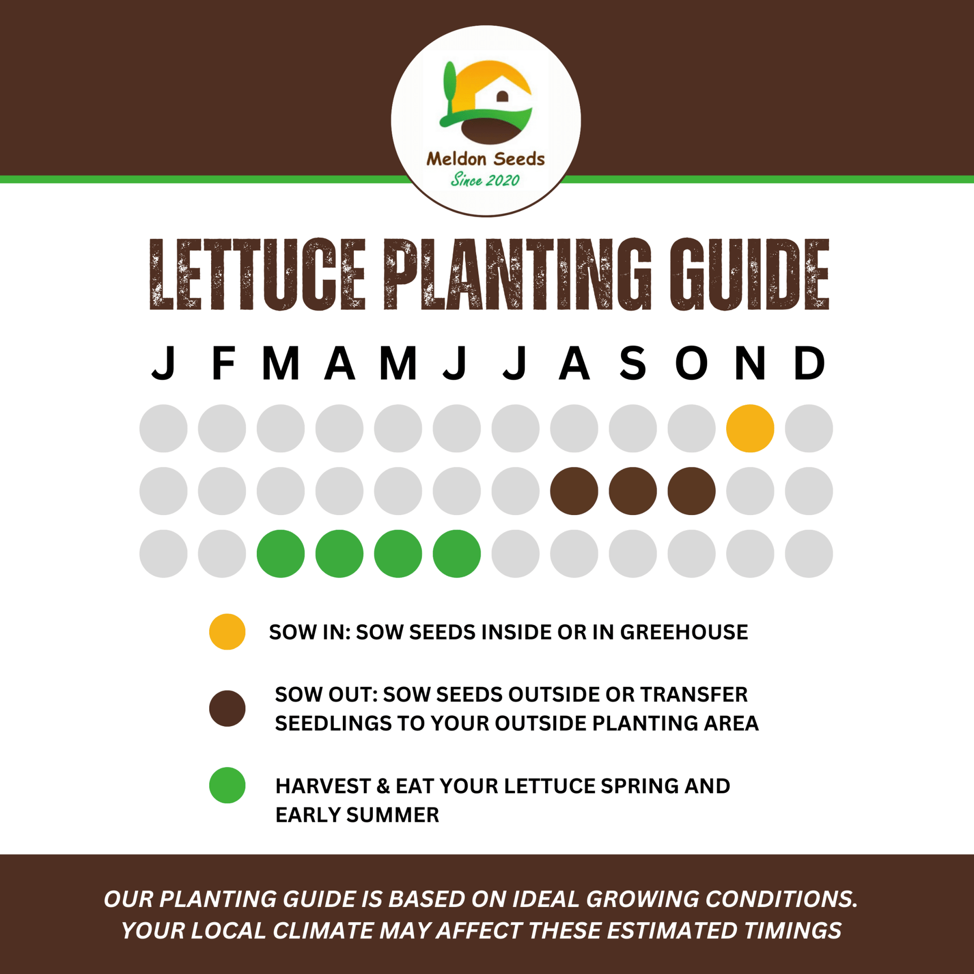 Lettuce Winter Density 400 Seeds - Chartley Chucks