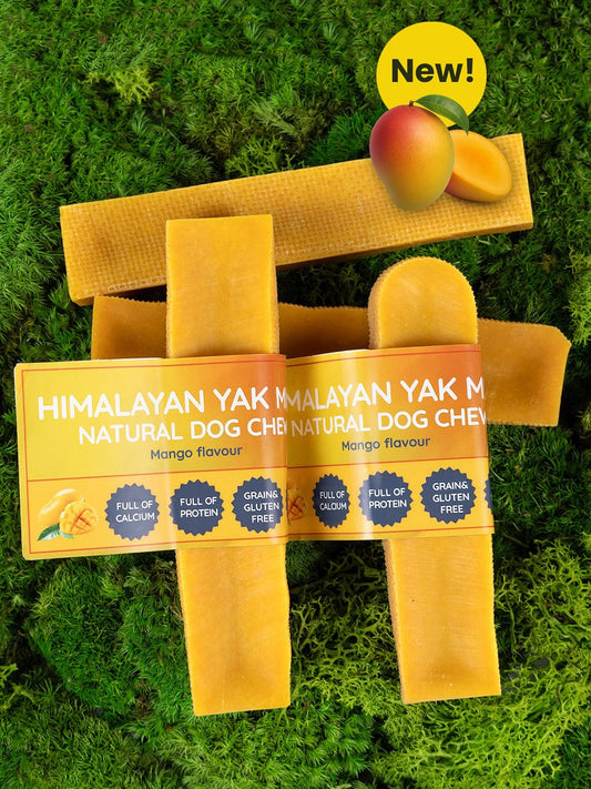 Mango Yak Dog Chew - Chartley Chucks