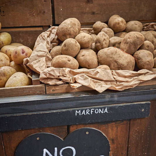 Marfona Seed Potatoes 2KG - Chartley Chucks