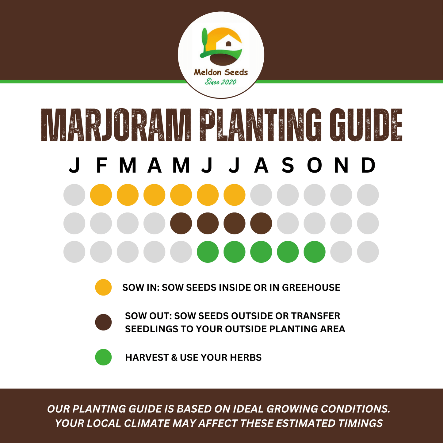 Marjoram Sweet 400 Seeds - Chartley Chucks