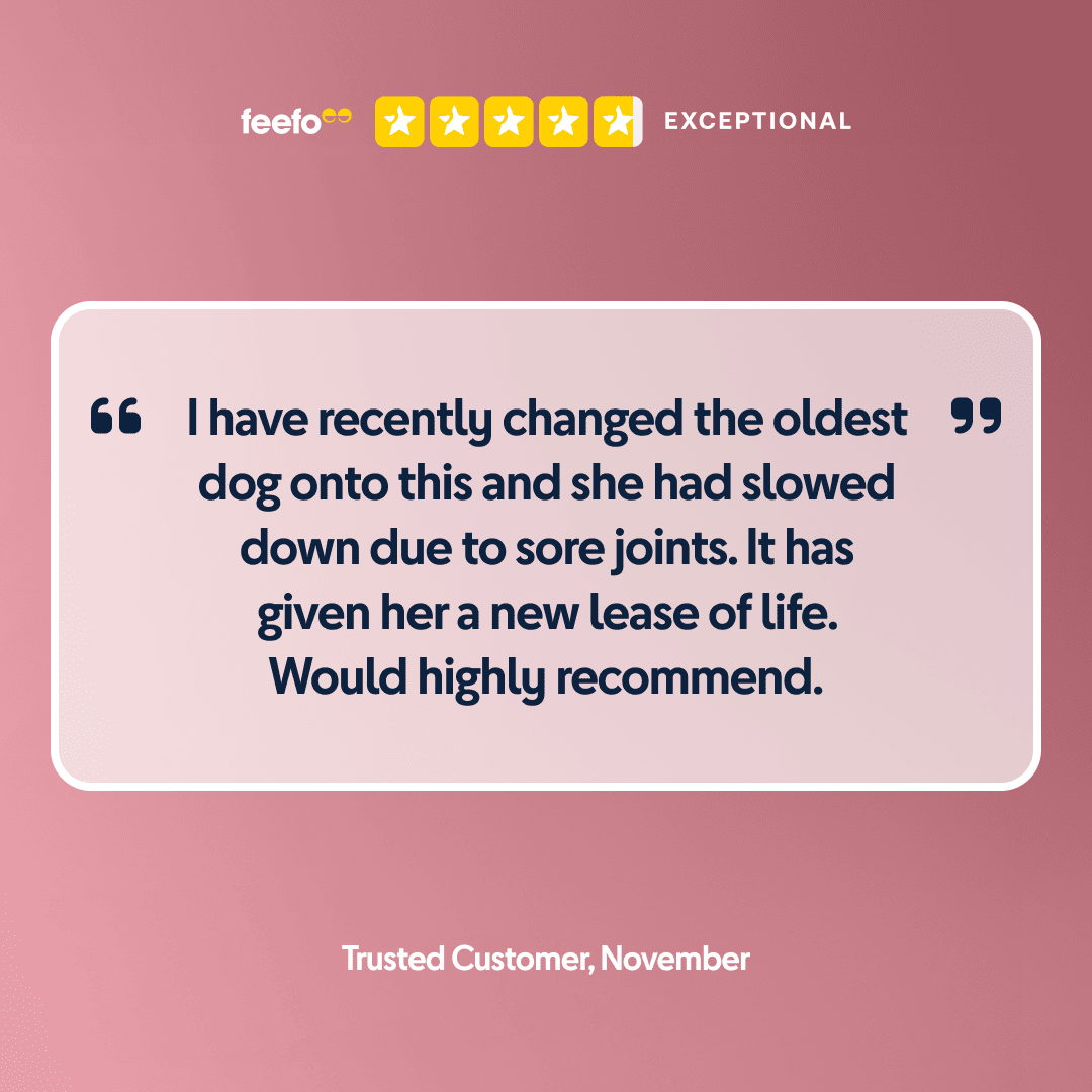 Mini Africa - Chartley Chucks