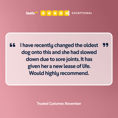 Mini Africa - Chartley Chucks