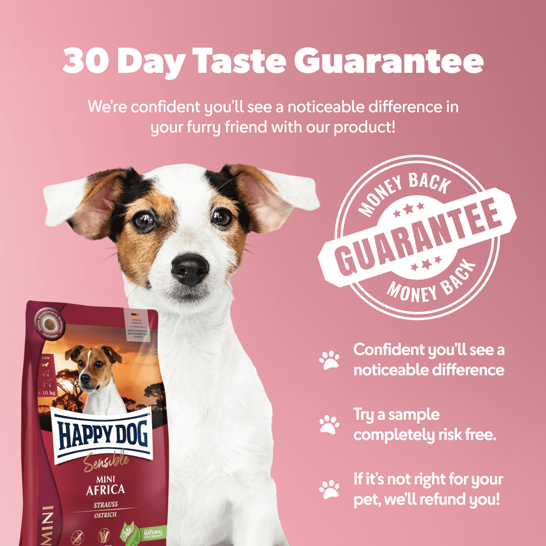 Mini Africa - Chartley Chucks