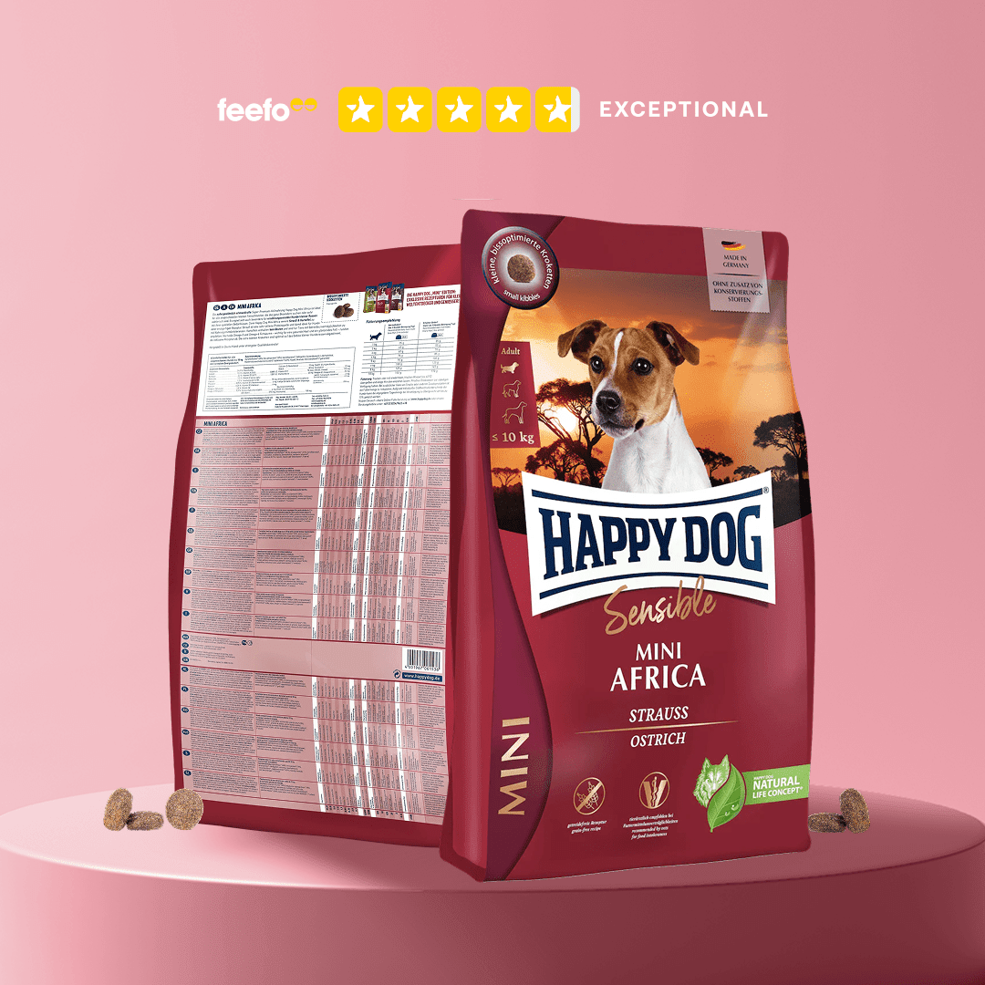 Mini Africa - Chartley Chucks