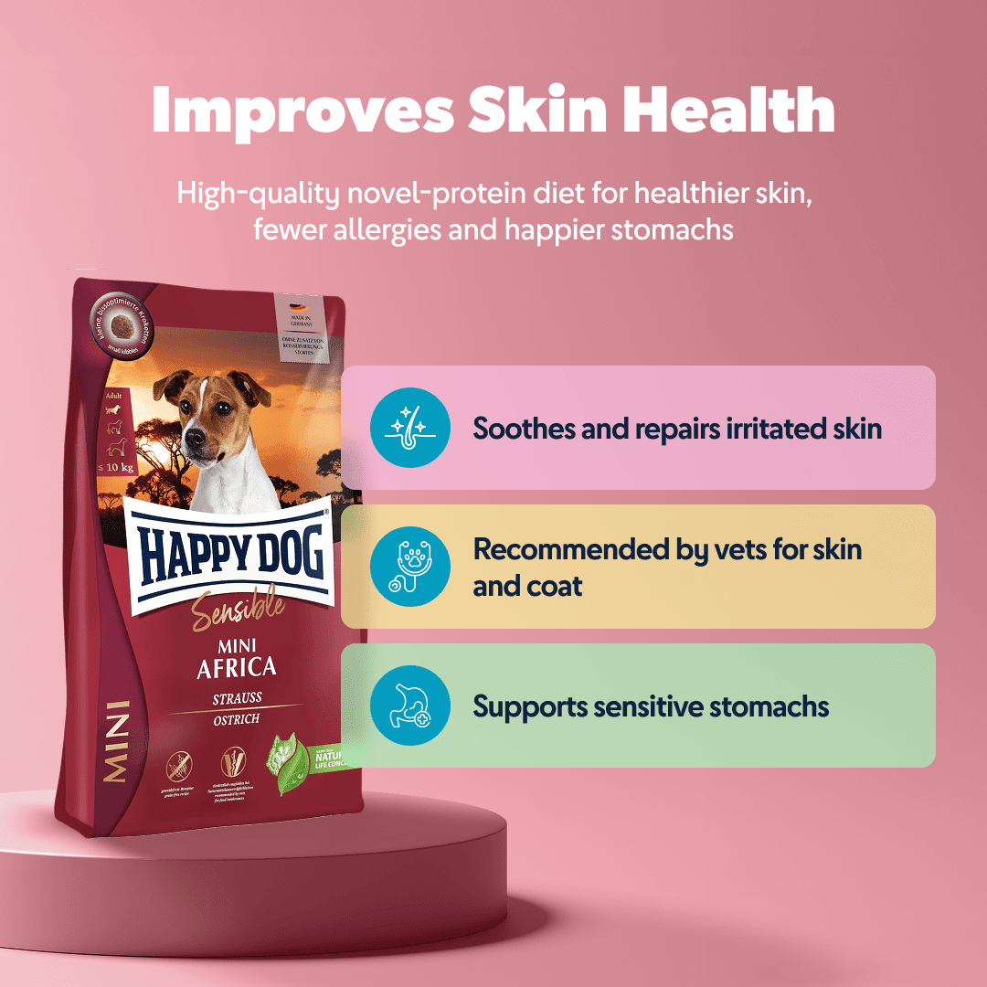 Mini Africa - Chartley Chucks