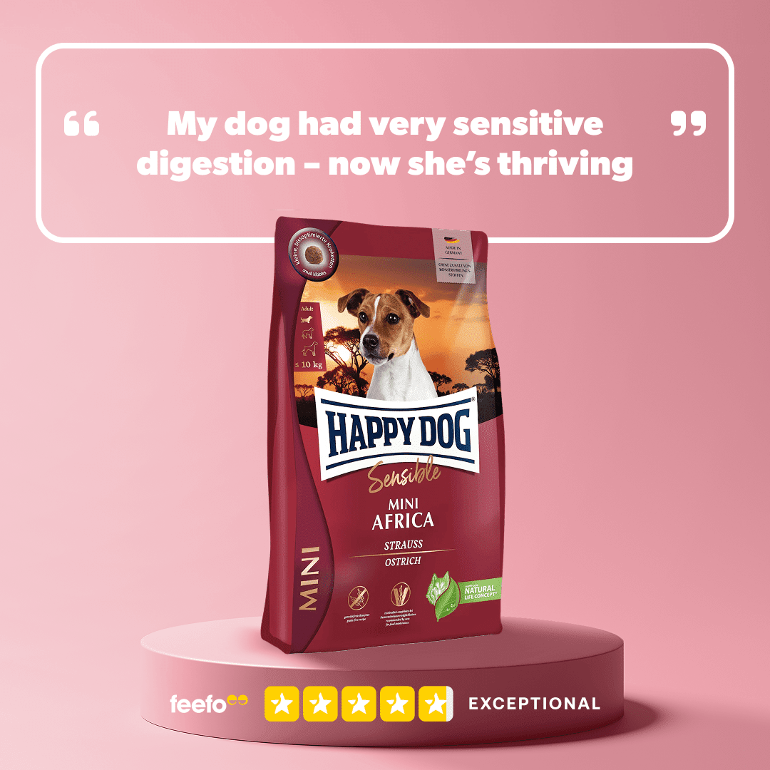 Mini Africa - Chartley Chucks