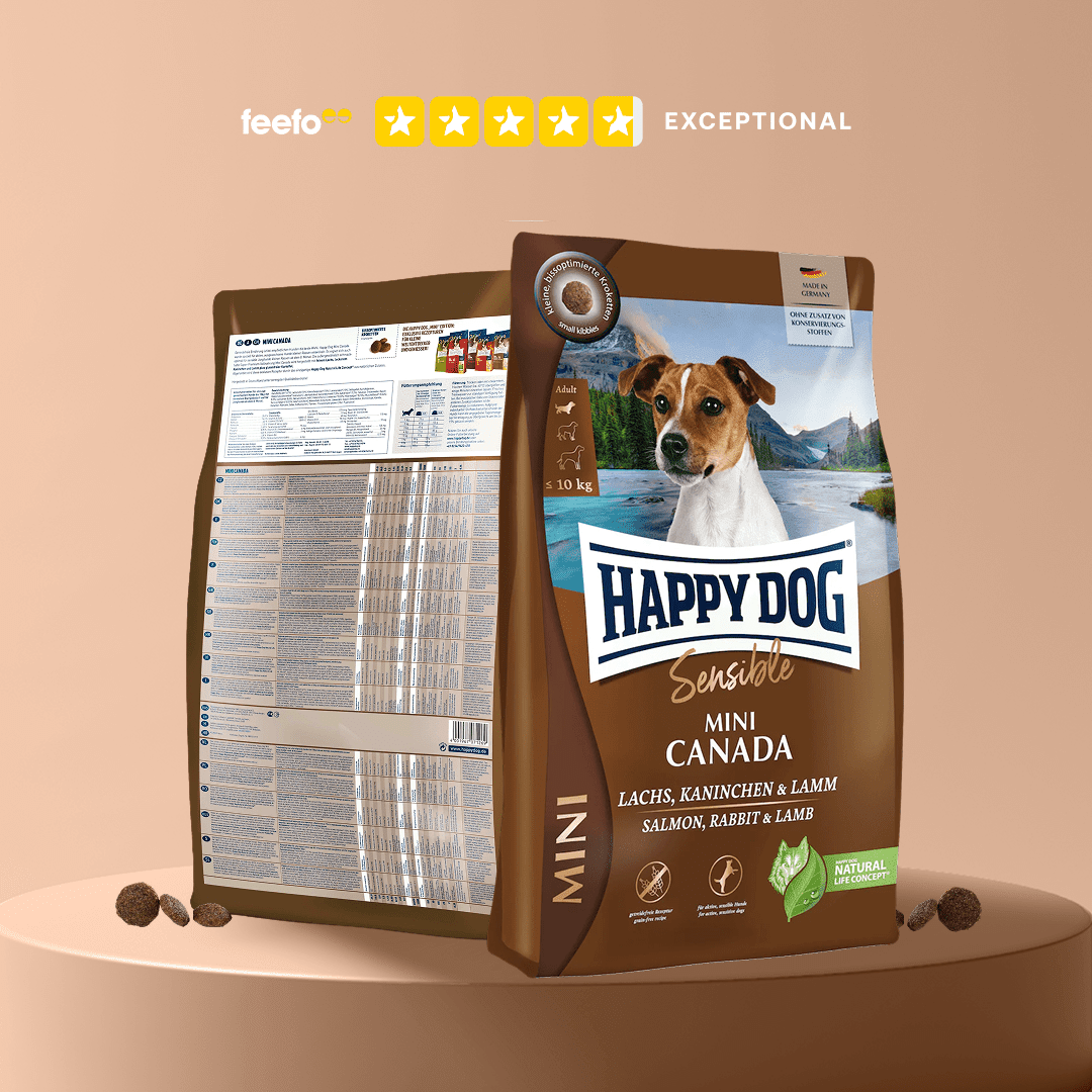 Mini Canada - Sensitive Dog - Chartley Chucks