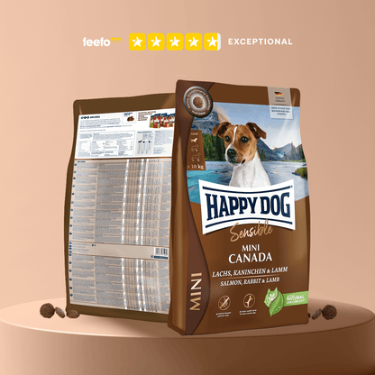 Mini Canada - Sensitive Dog - Chartley Chucks