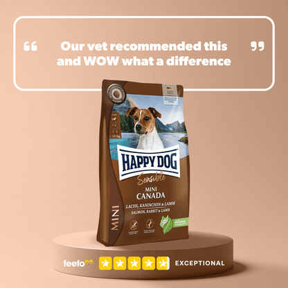 Mini Canada - Sensitive Dog - Chartley Chucks