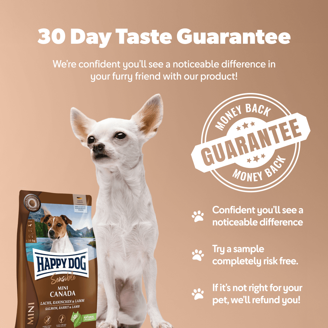 Mini Canada - Sensitive Dog - Chartley Chucks