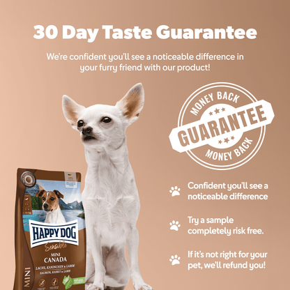 Mini Canada - Sensitive Dog - Chartley Chucks