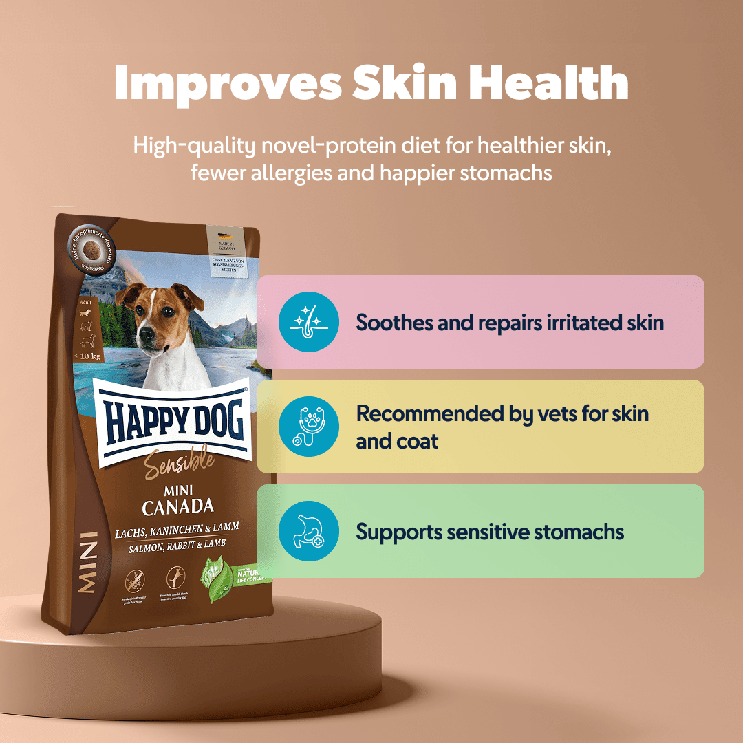 Mini Canada - Sensitive Dog - Chartley Chucks