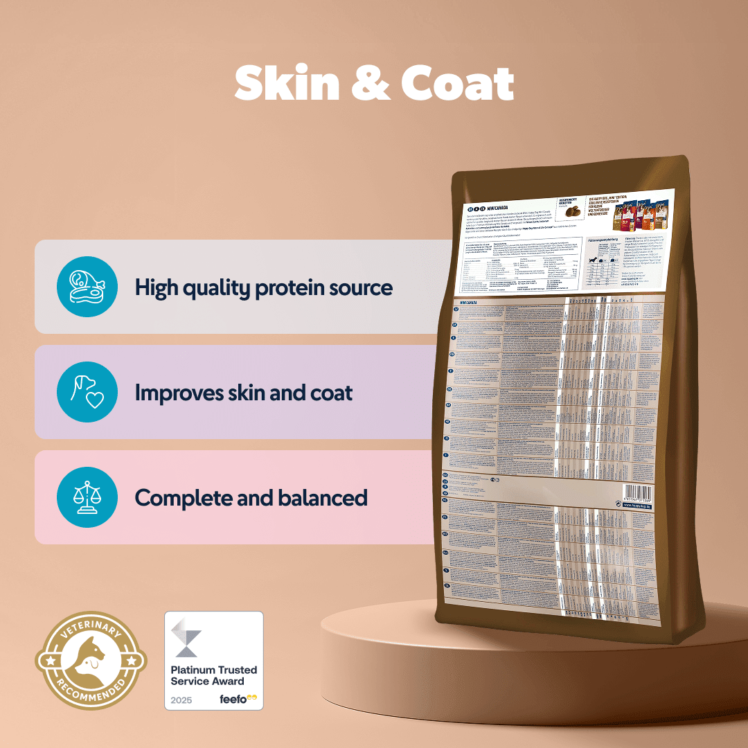 Mini Canada - Sensitive Dog - Chartley Chucks