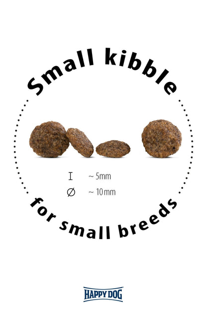 Mini Montana - Chartley Chucks