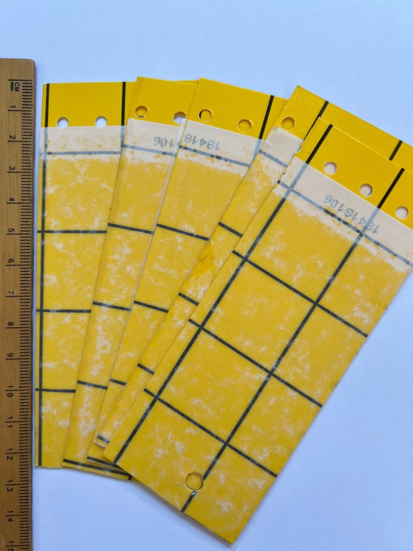 Mini Yellow Eco Traps - Chartley Chucks