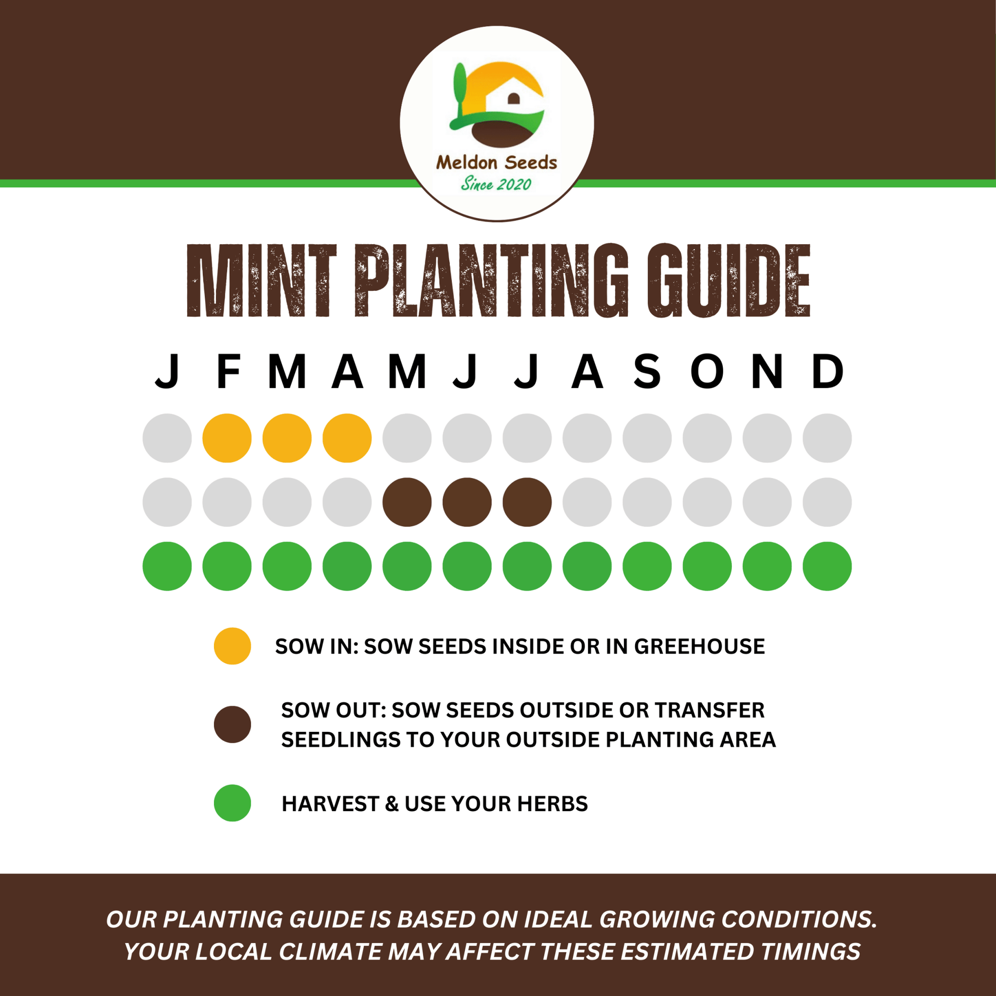 Mint Peppermint 200 Seeds - Chartley Chucks