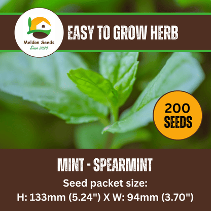 Mint Spearmint 200 Seeds - Chartley Chucks