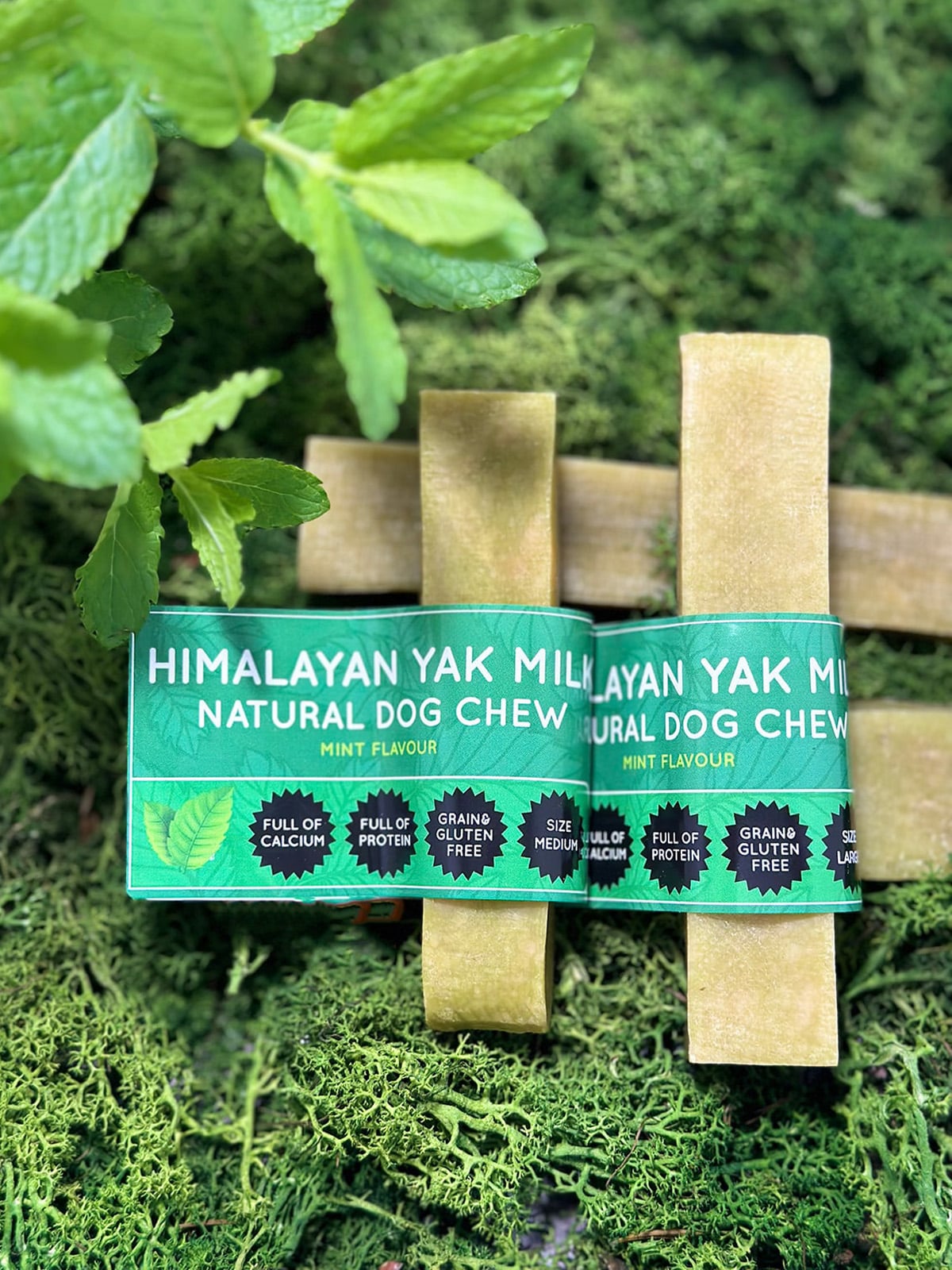Mint Yak Dog Chew - Chartley Chucks
