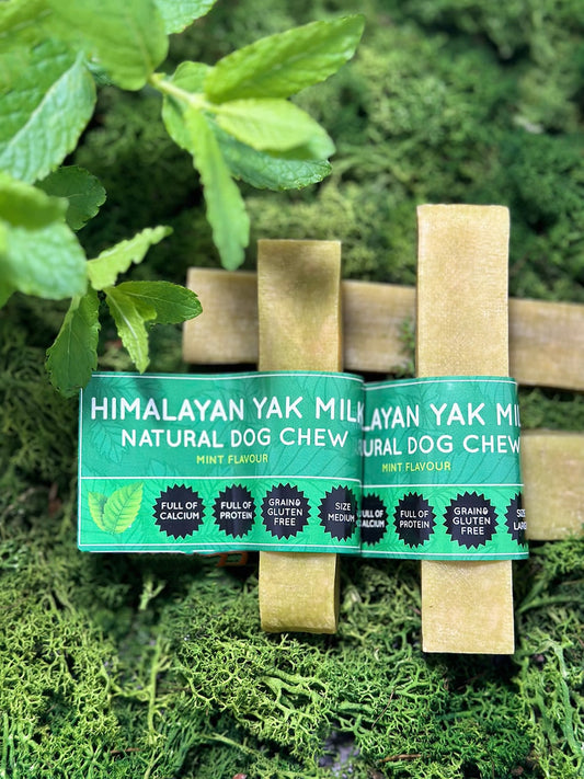 Mint Yak Dog Chew - Chartley Chucks