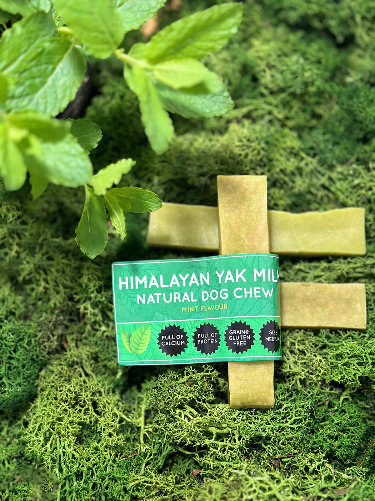 Mint Yak Dog Chew - Chartley Chucks