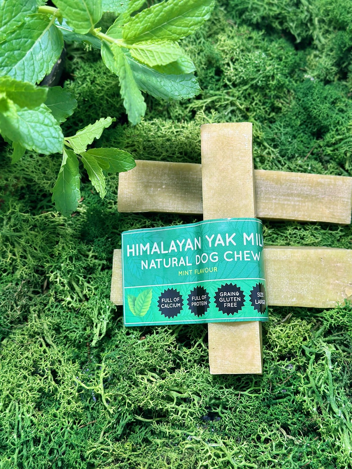 Mint Yak Dog Chew - Chartley Chucks