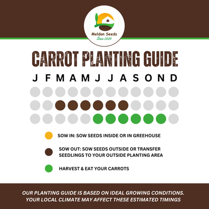 Mixed Carrot 250 Seeds - Rainbow, Red Samurai, Purple Haze - Chartley Chucks