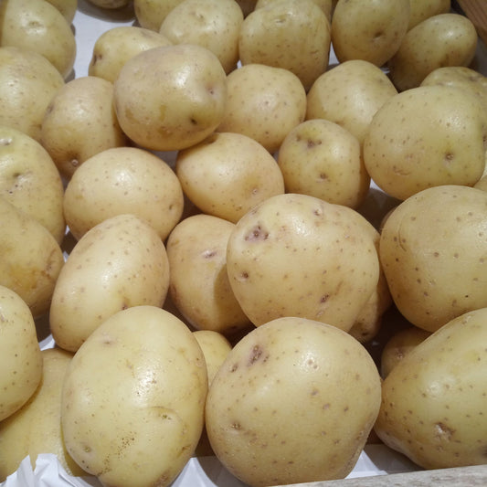 Nadine Seed Potatoes 2KG - Chartley Chucks