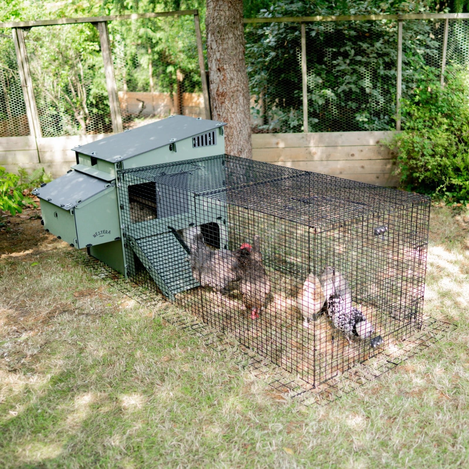Nestera Aspen 10 Chicken coop for up to 10 Large Birds - Chartley Chucks