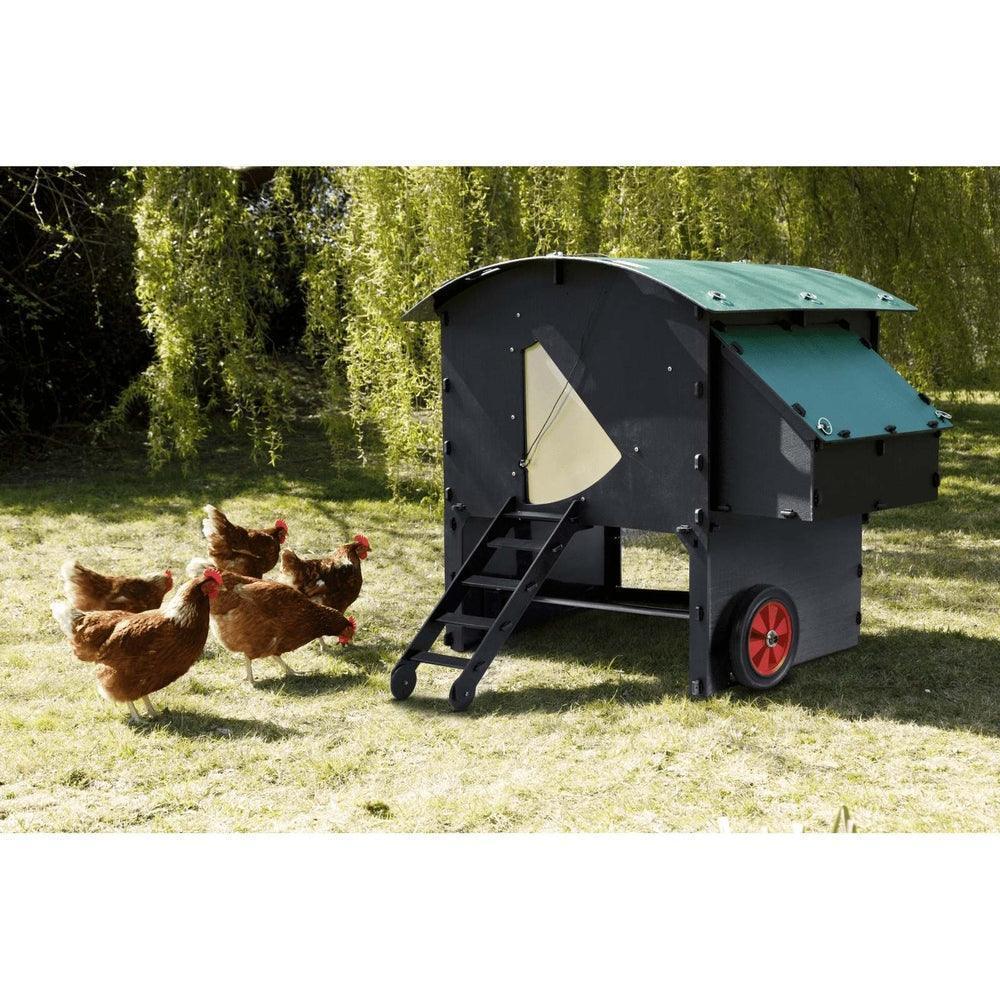 Nestera Large Penthouse Chicken coop for up to 10 Large Birds - Chartley Chucks