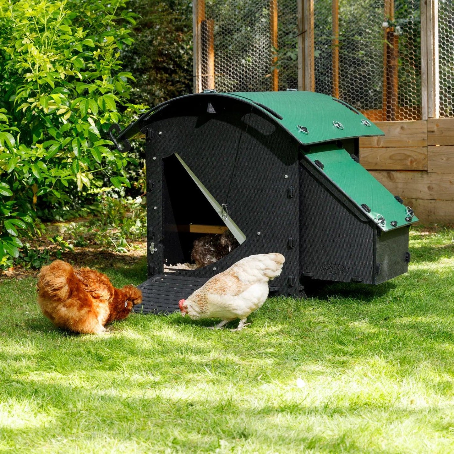 Nestera Small House Chicken Coop for up to 3 Large Birds - Chartley Chucks