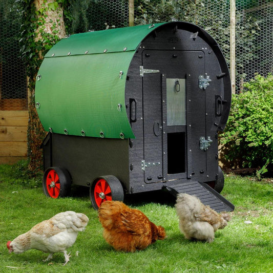 Nestera Wagon up to 10 birds - Chartley Chucks