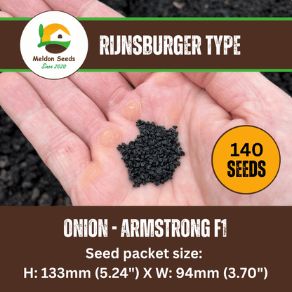 Onion Armstrong F1 140 Seeds - Chartley Chucks