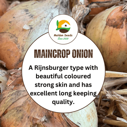 Onion Armstrong F1 140 Seeds - Chartley Chucks