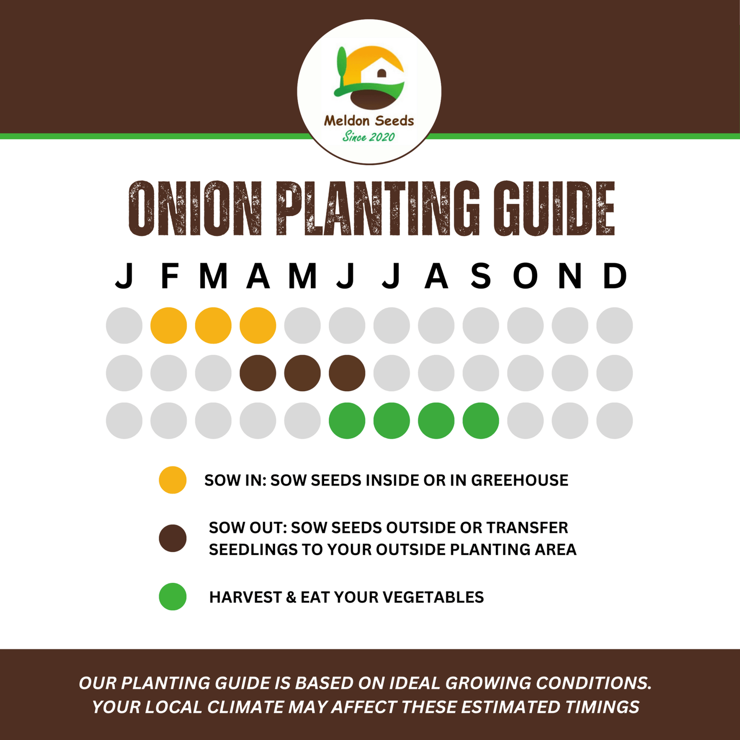 Onion Paris Silver Skin for Pickling x 200 Seeds - Chartley Chucks