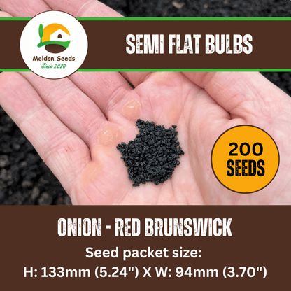 Onion Seeds Red Brunswick 200 Fresh Vegetable Seeds - Chartley Chucks
