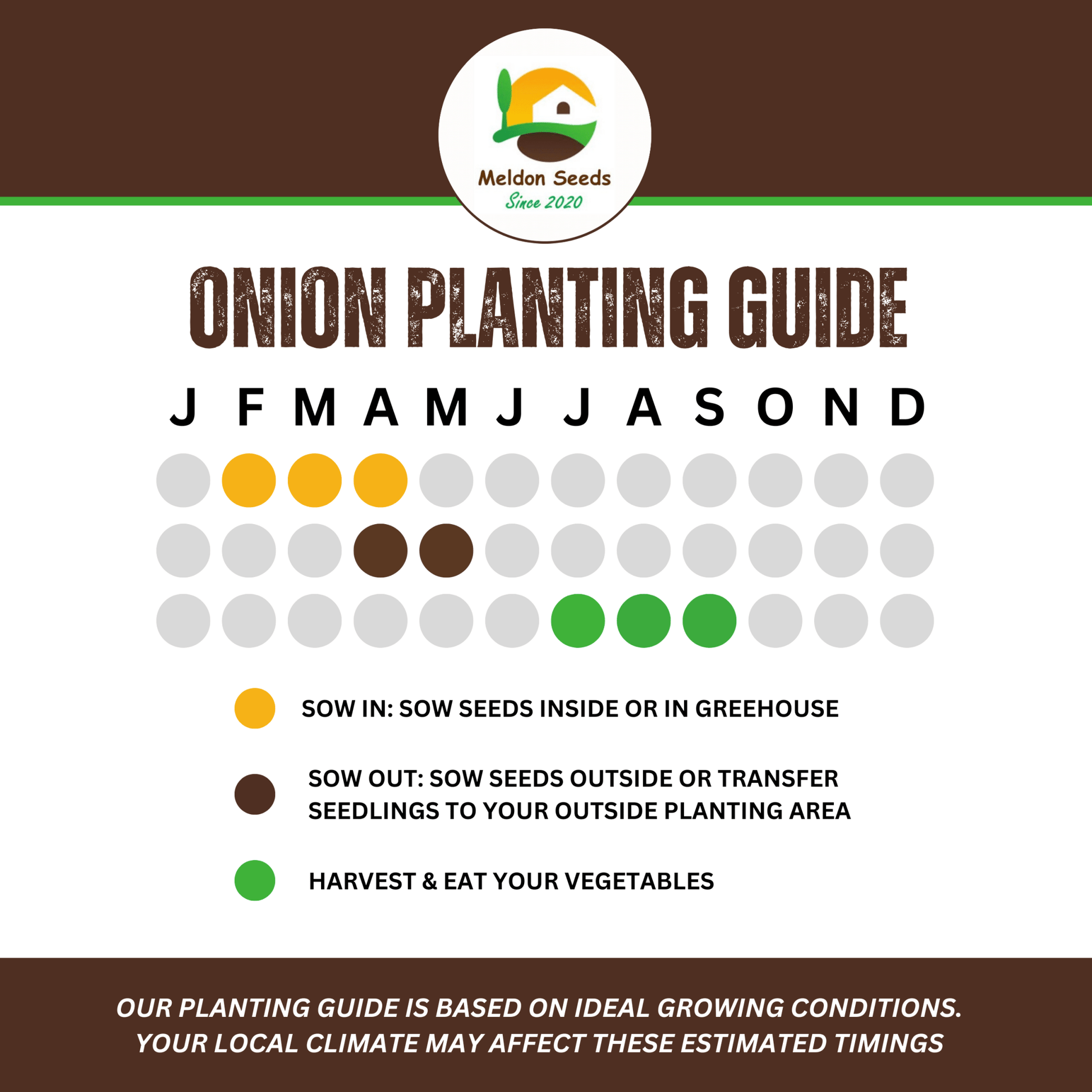 Onion Seeds Red Brunswick 200 Fresh Vegetable Seeds - Chartley Chucks