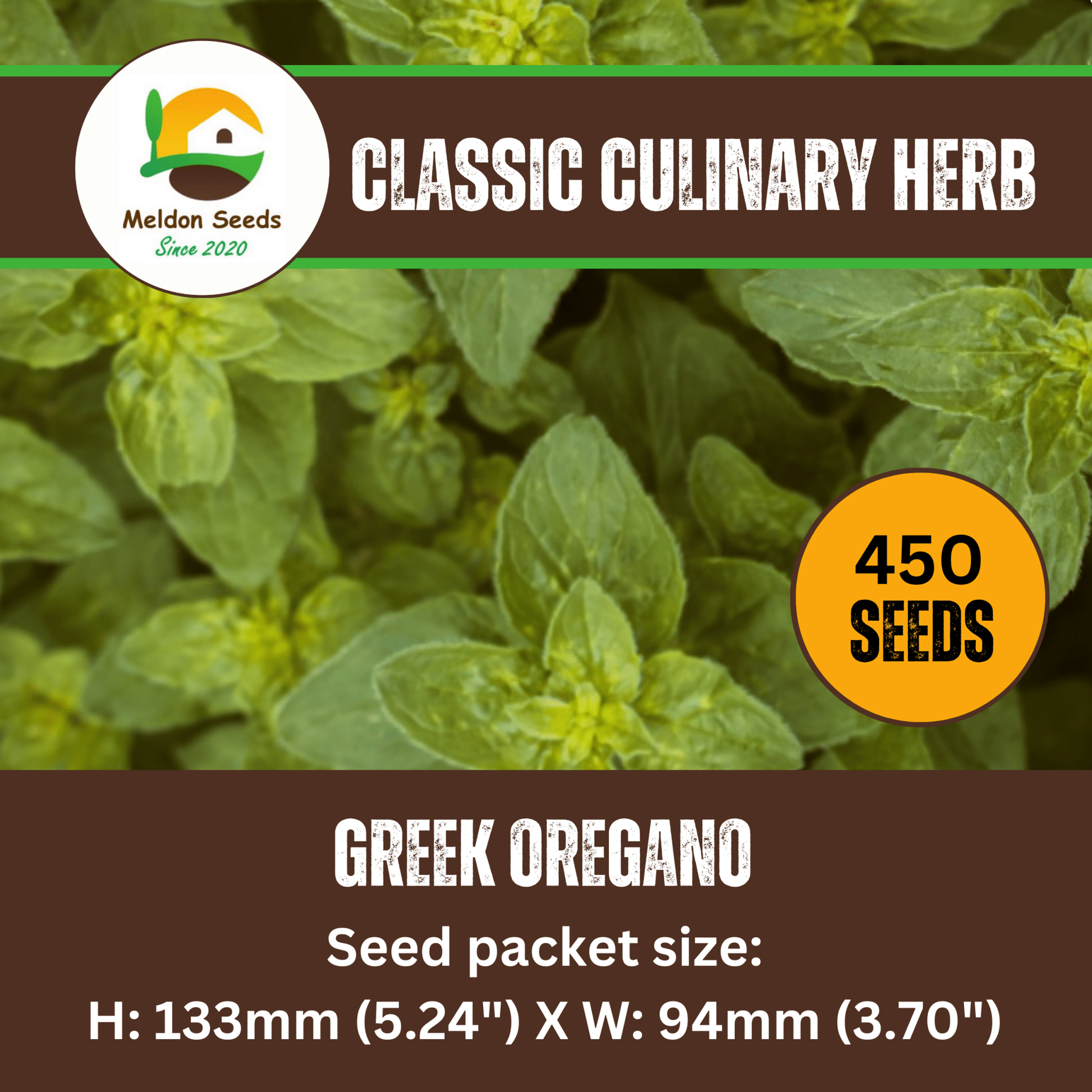 Oregano Greek 450 Seeds - Chartley Chucks