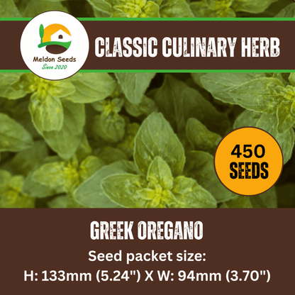 Oregano Greek 450 Seeds - Chartley Chucks