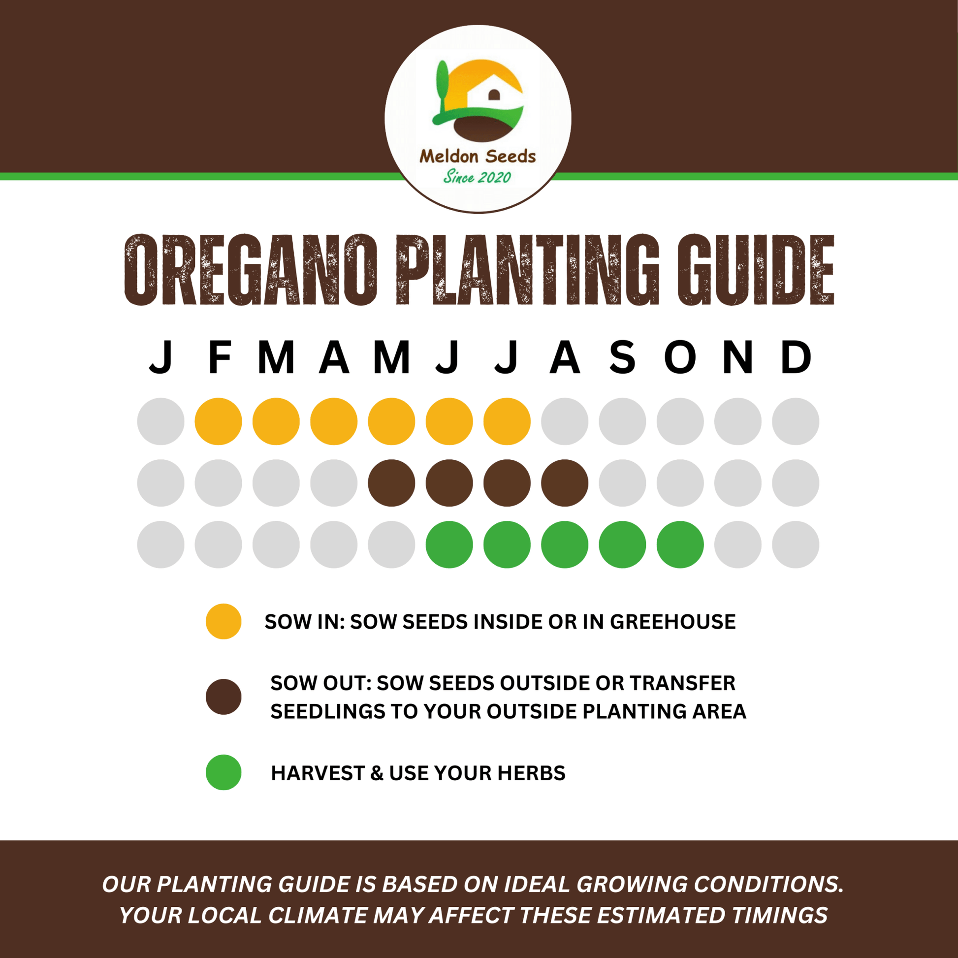 Oregano Greek 450 Seeds - Chartley Chucks