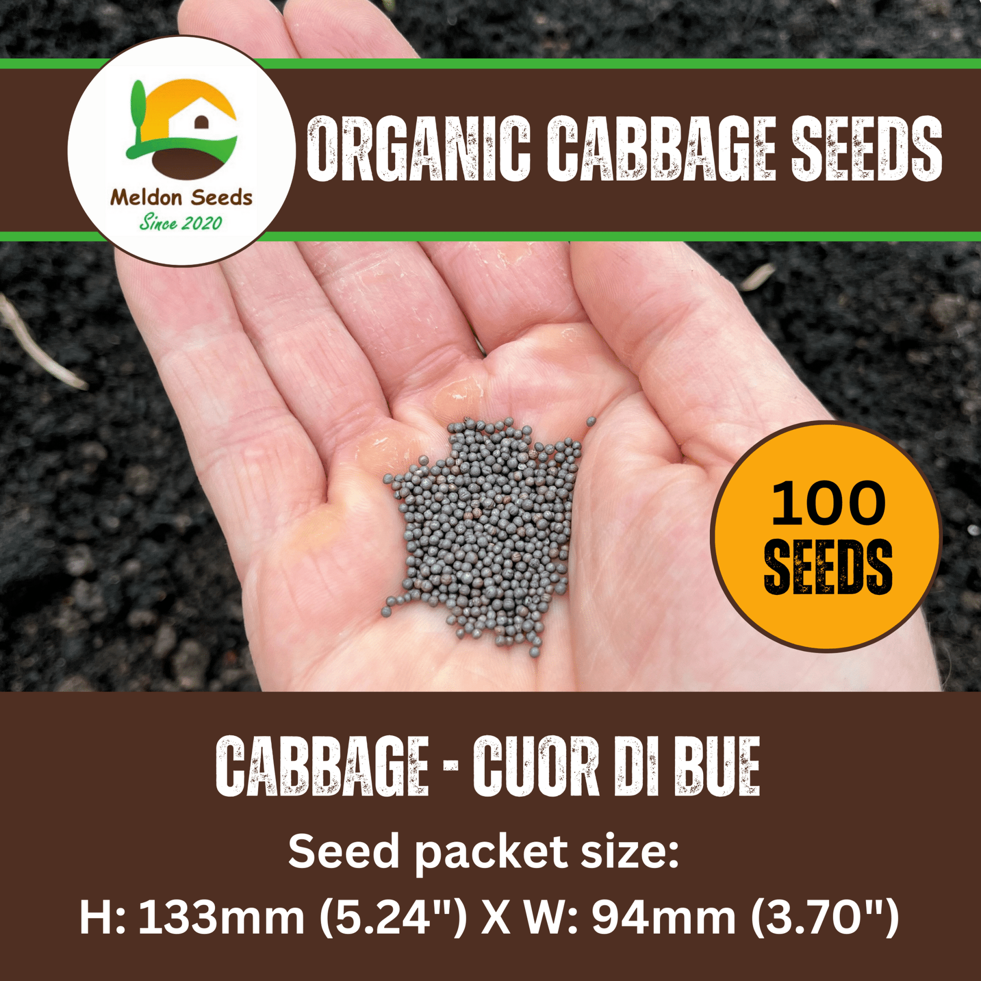 Organic Cabbage Cuor di Bue (Oxheart) 100 Seeds - Chartley Chucks