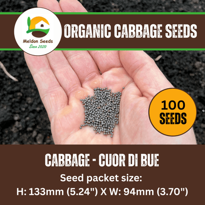 Organic Cabbage Cuor di Bue (Oxheart) 100 Seeds - Chartley Chucks
