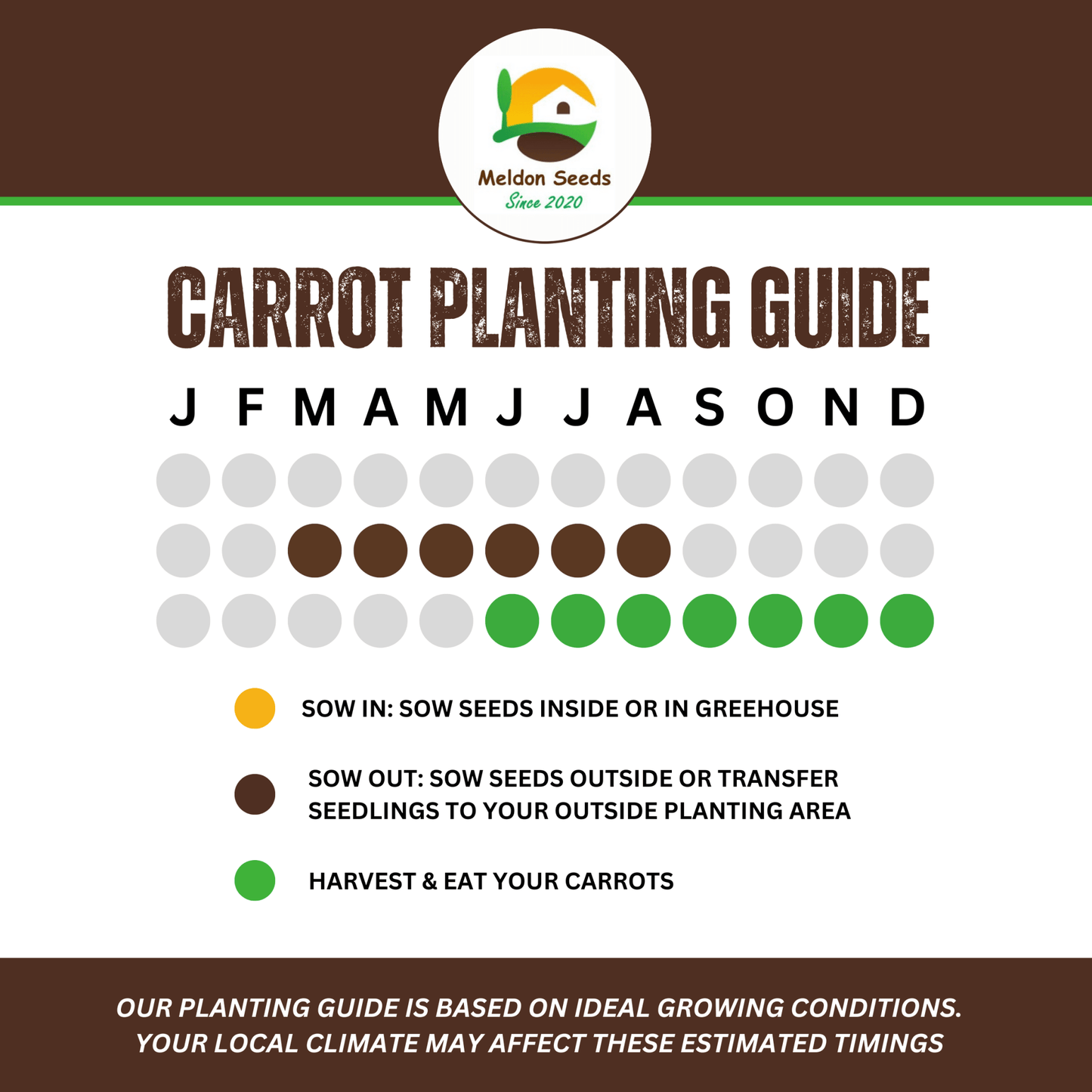 Organic Carrot Early Nantes 1000 Seeds - Chartley Chucks