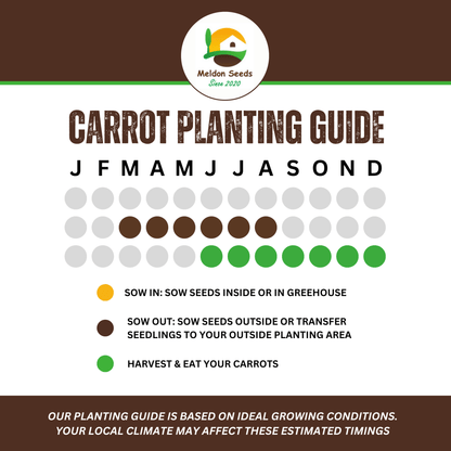 Organic Carrot Early Nantes 1000 Seeds - Chartley Chucks