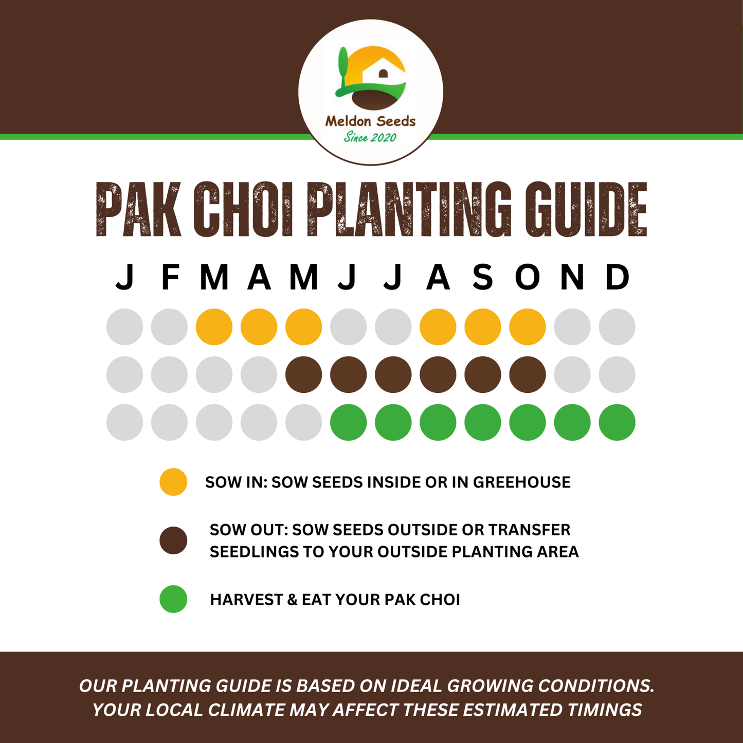 Pak Choi Seeds Red Choi F1 - 100 Fresh Seeds Bok Choy Chinese Cabbage Seeds UK - Chartley Chucks