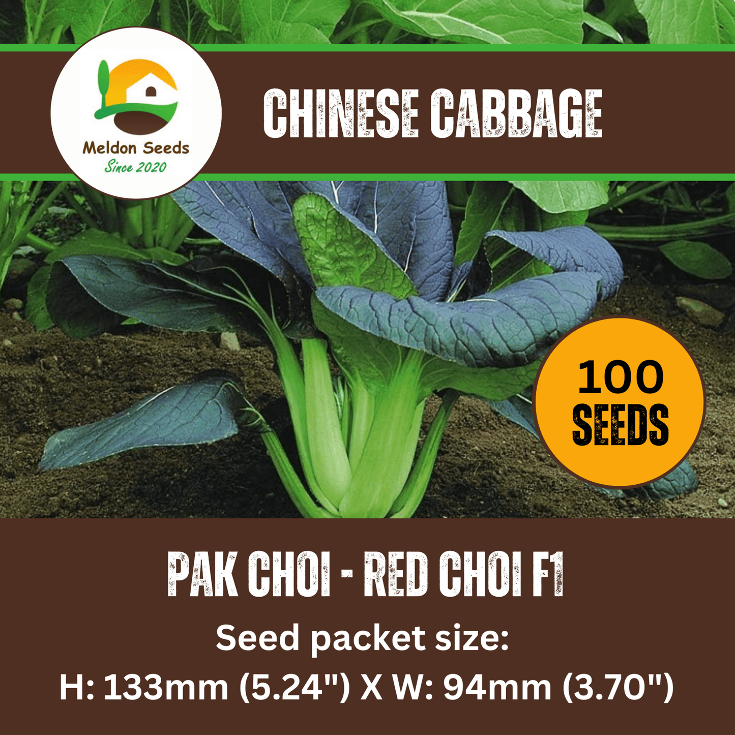 Pak Choi Seeds Red Choi F1 - 100 Fresh Seeds Bok Choy Chinese Cabbage Seeds UK - Chartley Chucks