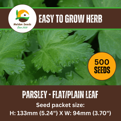 Parsley Plain/French 400 Seeds - Chartley Chucks