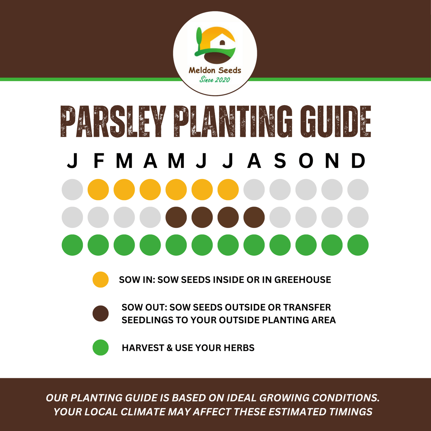 Parsley Plain/French 400 Seeds - Chartley Chucks