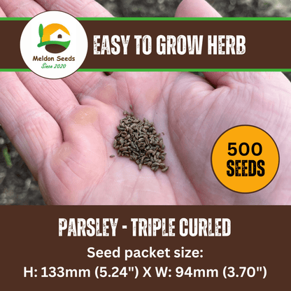 Parsley Triple Curled 500 Seeds - Chartley Chucks